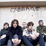 Tell Me Lies About Manchester - Cabbage