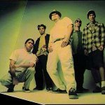 Turtle Wax (Funkaholics Anonymous) - Infectious Grooves