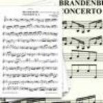 Brandenburg Concerto No. 6 In B-Flat Major, BWV I. Allegro - Karel Brazda & Philharmonia Slavonica