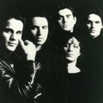 Touch - Noiseworks