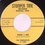 Fool I Am - Pat Ferguson