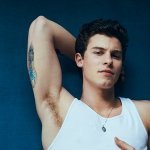 There's Nothing Holdin' Me Back (David Bulla Remix) [Extended Edit] - Shawn Mendes