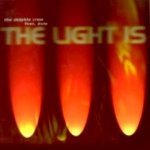 The Light Is (Radio Mix) - The Dolphin Crew