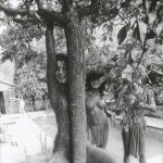 Adventures Close To Home - The Slits