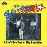 I Can't See You - The Starlites
