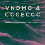 Downsighs - VNDMG x ccceccc